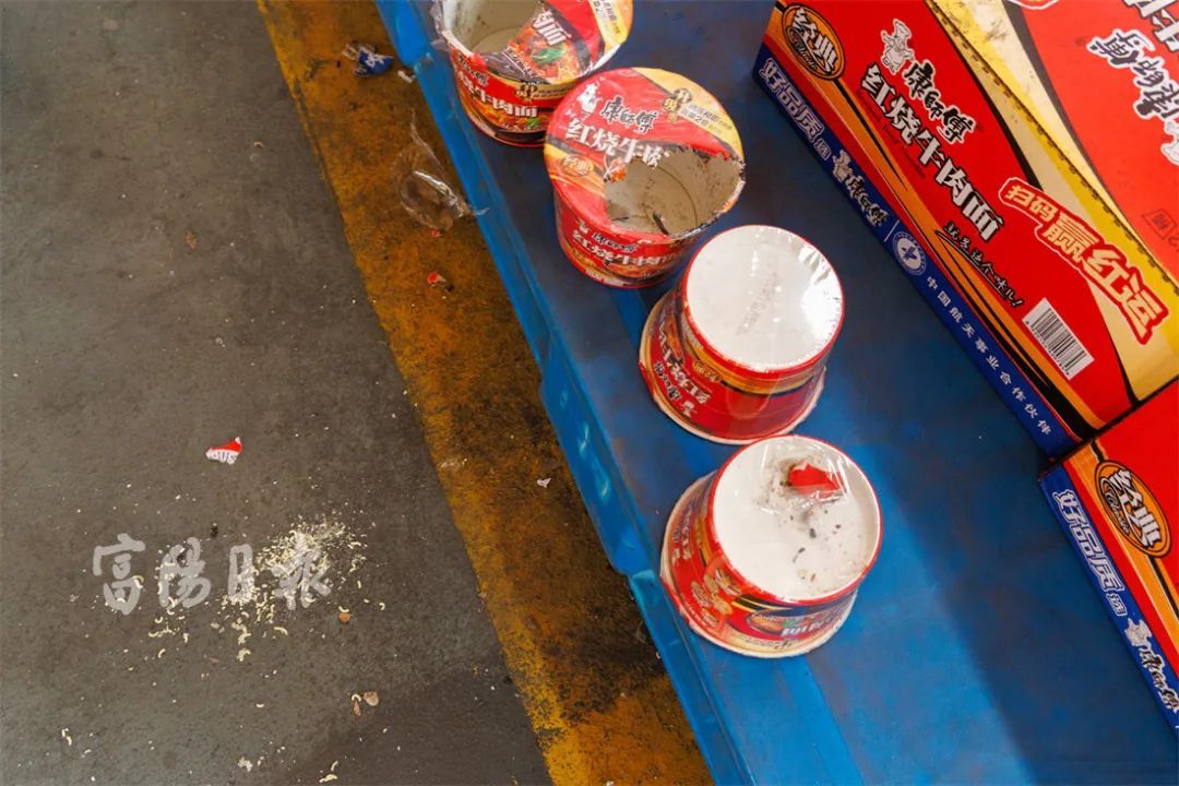 “小可爱”泛滥！男子头疼：没完没了，还抓不得