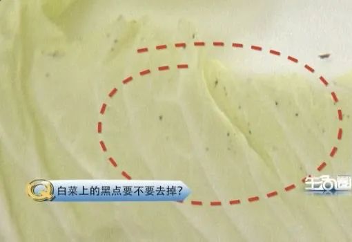 便宜又防癌,这种性价比超高的“冬季蔬菜”,可惜你没吃对 便宜又防癌,这种性价比超高的“冬季蔬菜”,可惜你没吃对