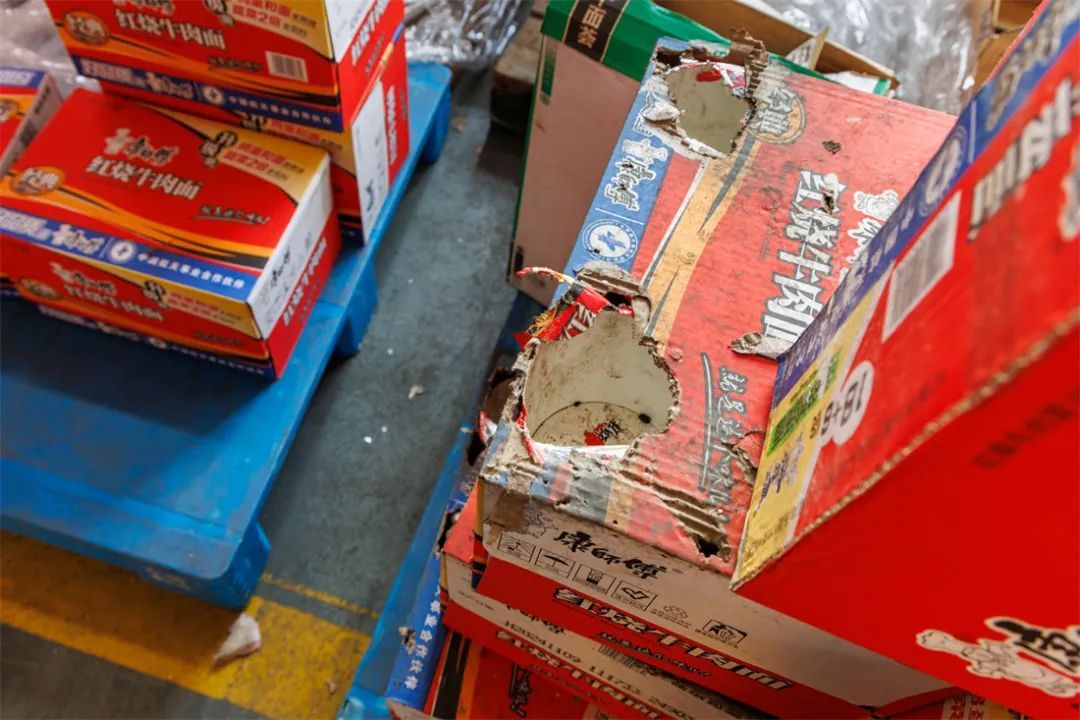 “小可爱”泛滥！男子头疼：没完没了，还抓不得