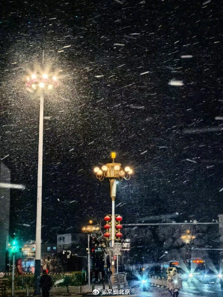 腊八节北京下雪了! 腊八节北京下雪了!
