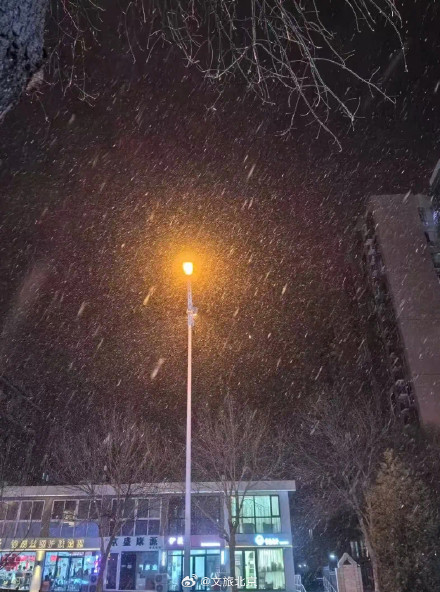 腊八节北京下雪了! 腊八节北京下雪了!