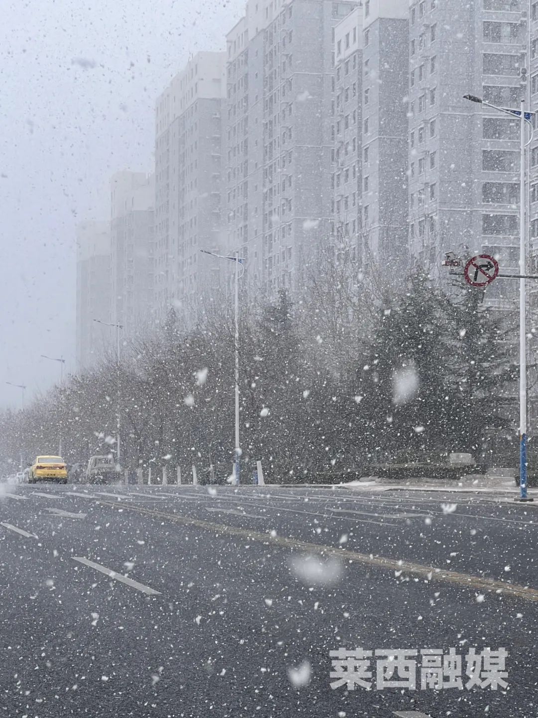 好大的雪花！刚刚，青岛的雪，又来了！