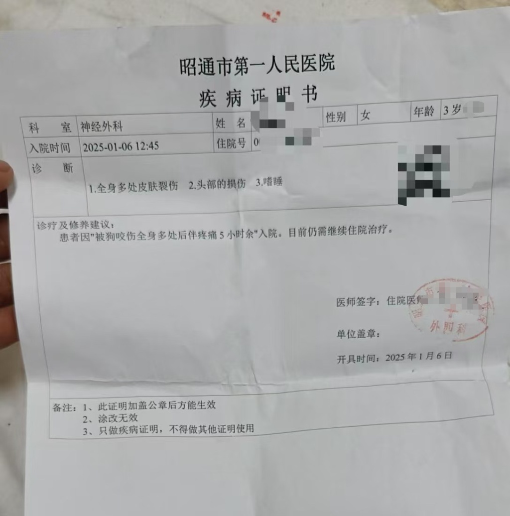 心痛！3岁女童遭狗群撕咬，全身缝合三四百针，仍在 ICU昏迷不醒