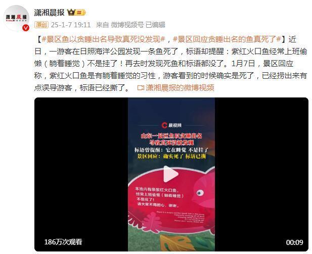景区回应贪睡出名的鱼真死没被发现:确实死了,现已捞出 景区回应贪睡出名的鱼真死没被发现:确实死了,现已捞出
