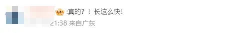 全红婵“暴风式”长高？有网友担心影响成绩！真相是……