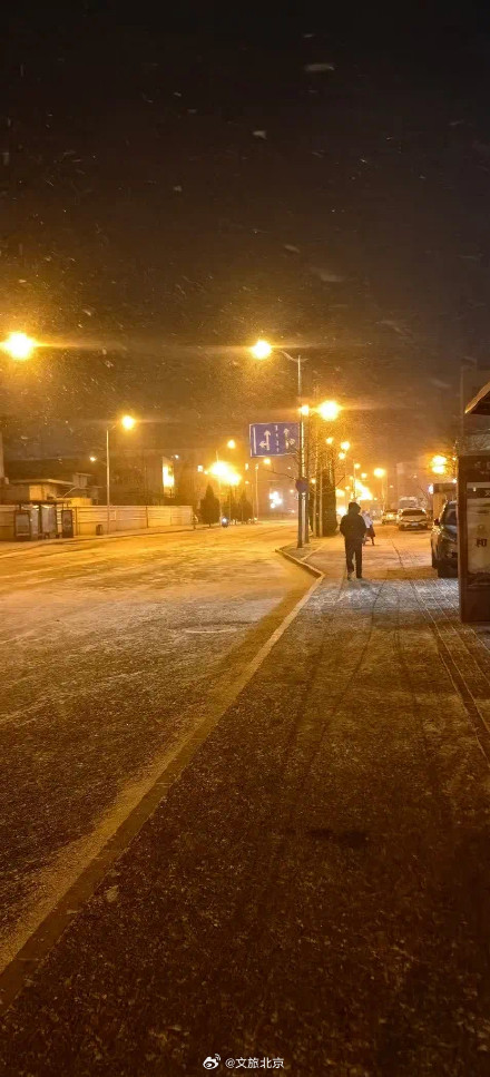 腊八节北京下雪了! 腊八节北京下雪了!