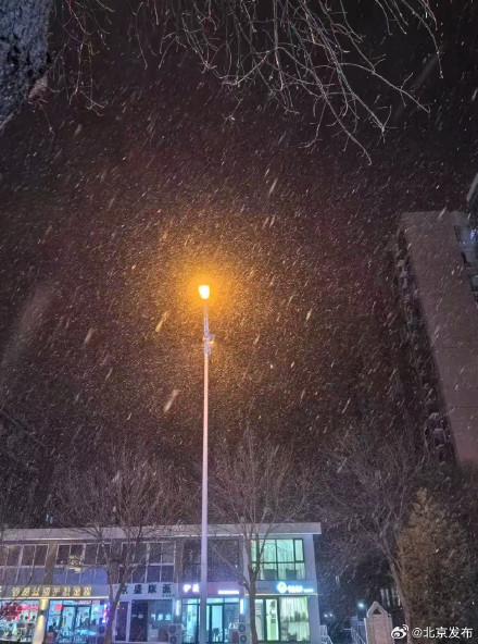 昨晚北京下雪啦!今起进入“三九”最冷时段 昨晚北京下雪啦!今起进入“三九”最冷时段