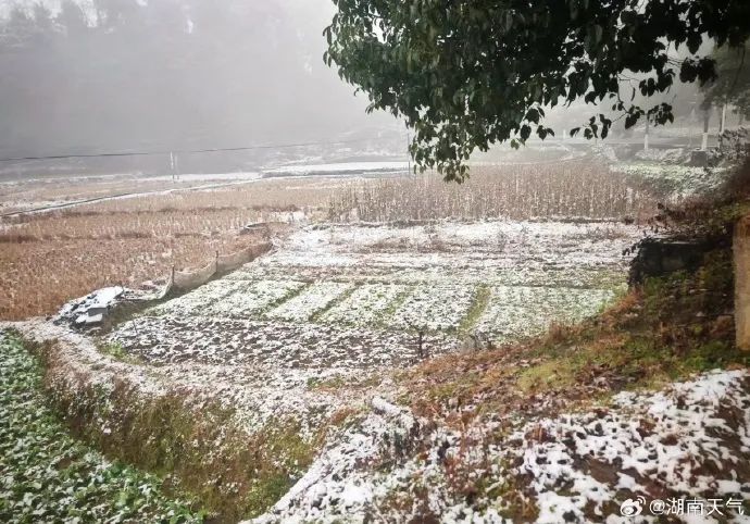 湖南这些地方下雪了！