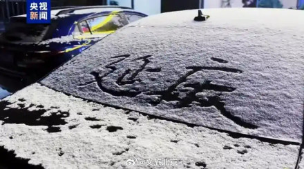 腊八节北京下雪了! 腊八节北京下雪了!