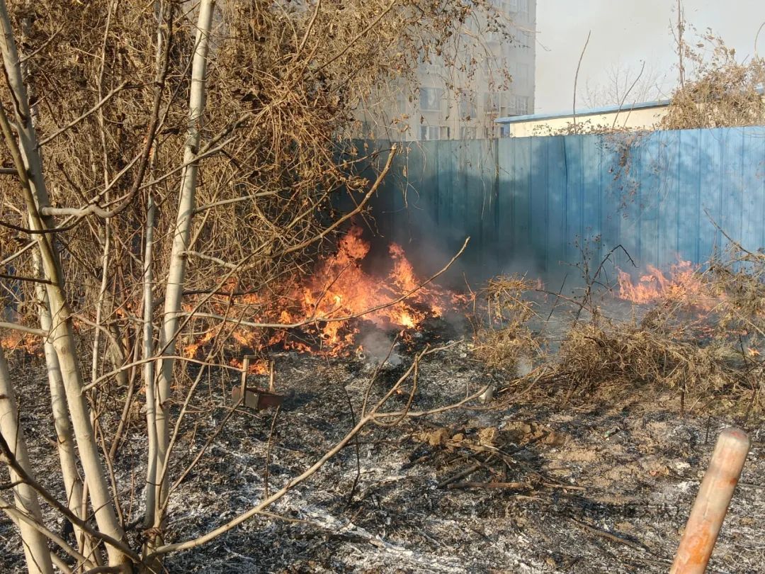 近期频发!河南人千万别惹 近期频发!河南人千万别惹