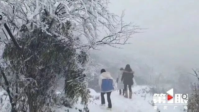 冷空气“刹拢”！重庆多地迎来2025年首场降雪