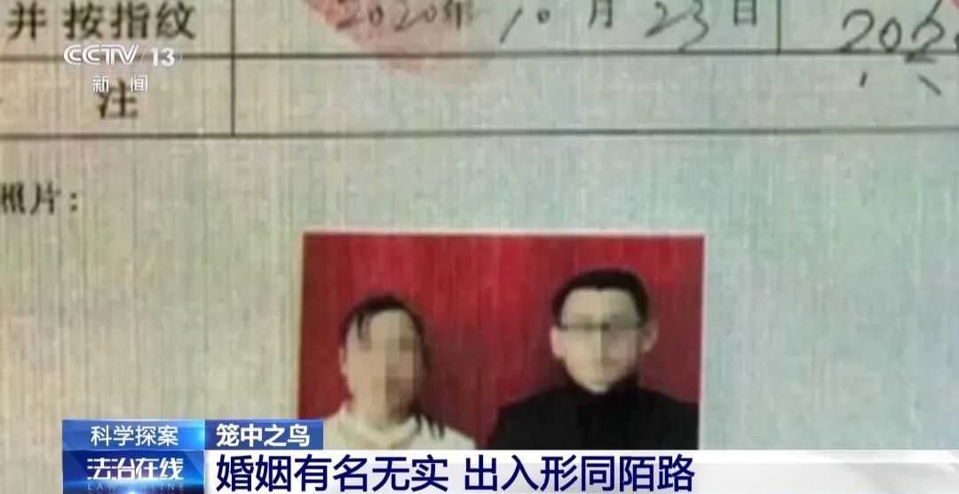 毛骨悚然！男子为骗巨额保金推妻坠海致死，案件更多细节公布