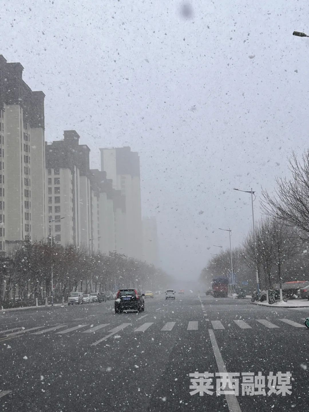 好大的雪花！刚刚，青岛的雪，又来了！