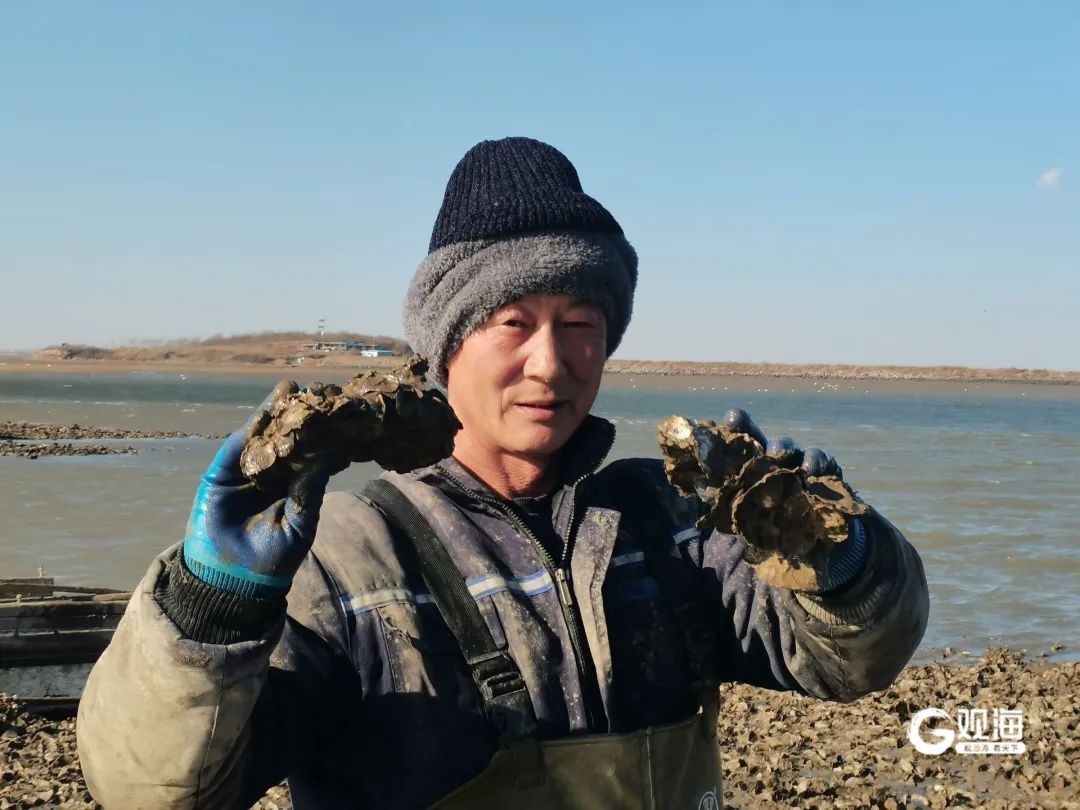 2个小时收获2000多斤！青岛这片海滩密密麻麻都是……个大肥美，纯野生！