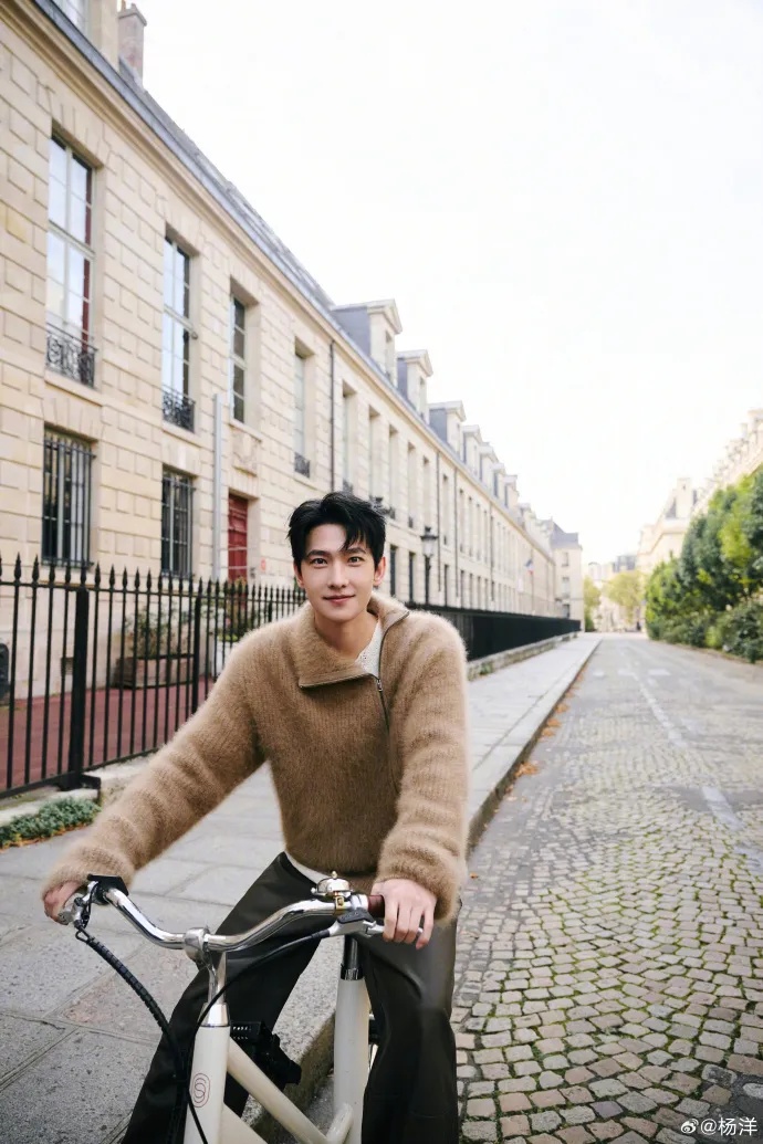 向杨洋道歉了! 向杨洋道歉了!