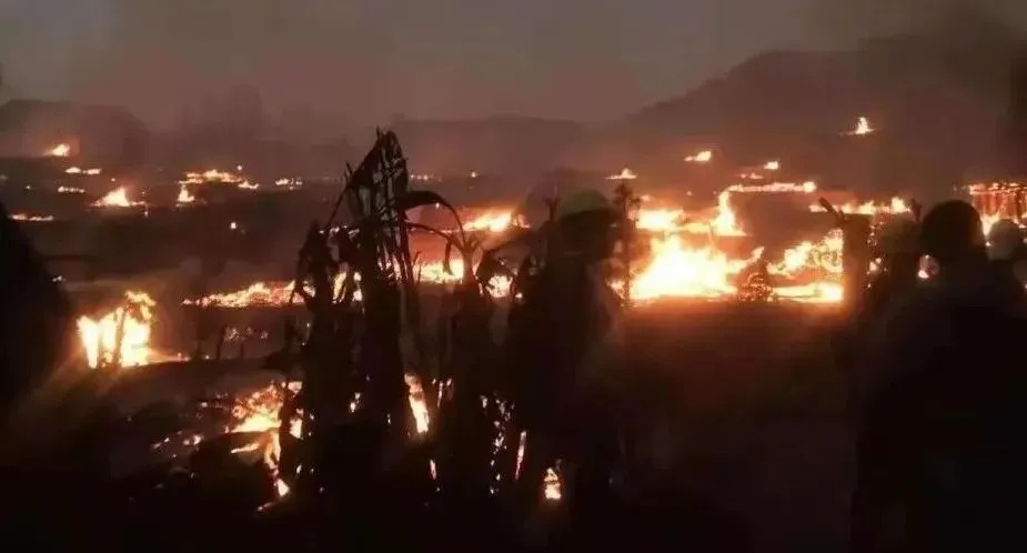 将承担法律责任！这个行为，你一定要制止！