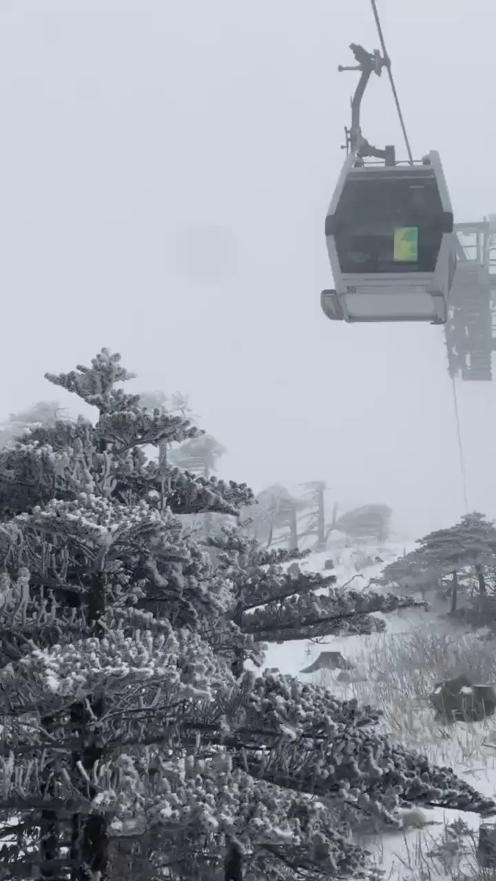 云南多地迎来2025年第一场雪！