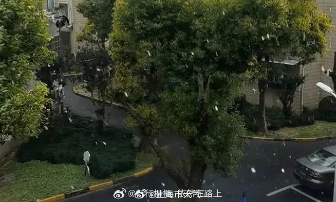零下5℃，低温预警！上海今天可能下雪，就在这些地区