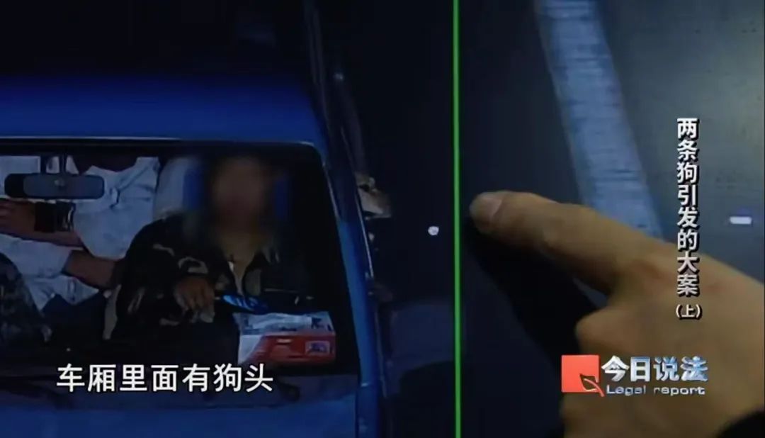 深夜两声枪响,两条狗被射杀……警方破获特大部督涉枪涉猎系列案件 深夜两声枪响,两条狗被射杀……警方破获特大部督涉枪涉猎系列案件