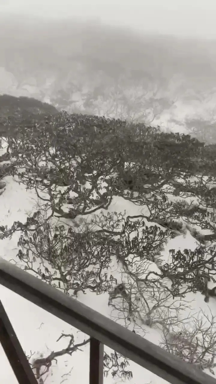 云南多地迎来2025年第一场雪！