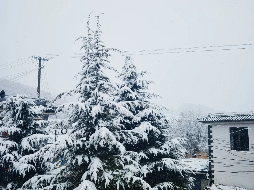 云南多地迎来2025年第一场雪！