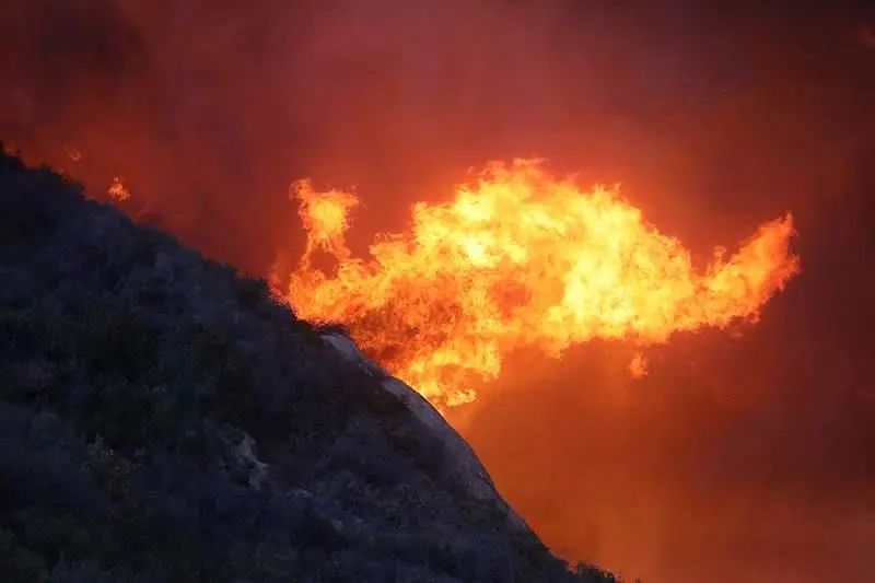 加州进入紧急状态