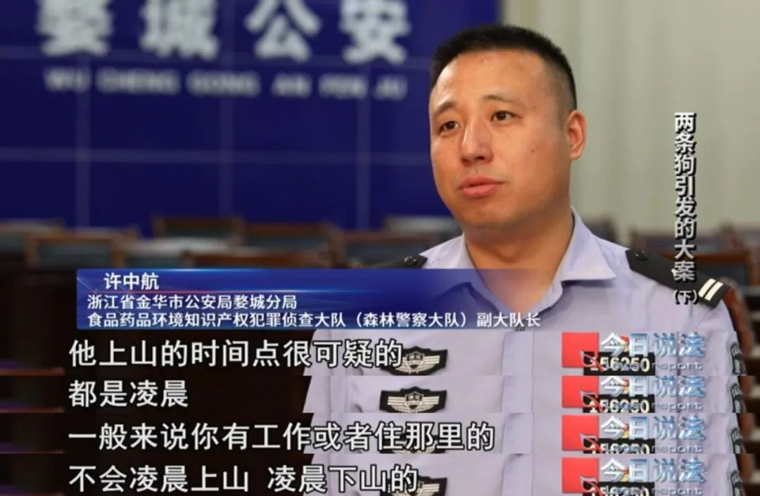 深夜两声枪响,两条狗被射杀……警方破获特大部督涉枪涉猎系列案件 深夜两声枪响,两条狗被射杀……警方破获特大部督涉枪涉猎系列案件