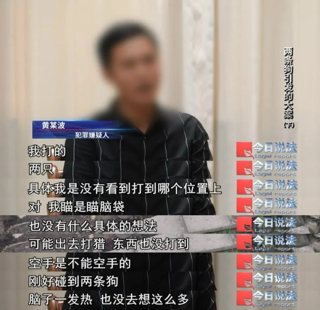 深夜两声枪响,两条狗被射杀……警方破获特大部督涉枪涉猎系列案件 深夜两声枪响,两条狗被射杀……警方破获特大部督涉枪涉猎系列案件