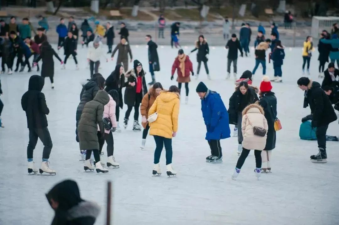 多所高校专业冰场对外开放!网友:“太好了,能去隔壁学校滑冰了……” 多所高校专业冰场对外开放!网友:“太好了,能去隔壁学校滑冰了……”