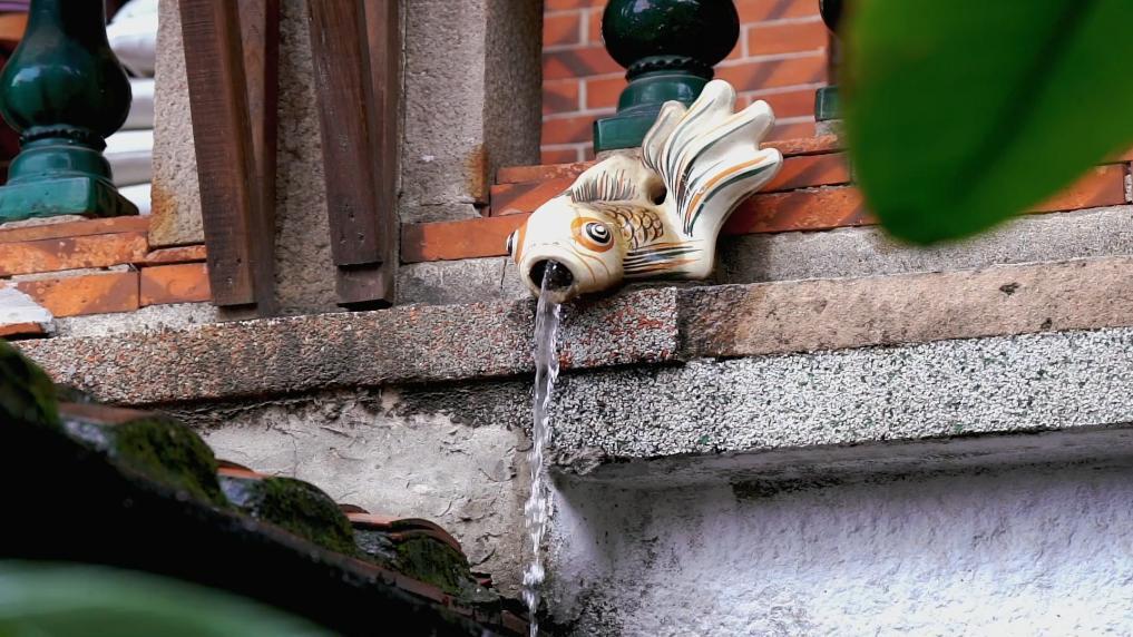 文化中国行丨泉州中山路:融合多元文化 守护烟火生活 文化中国行丨泉州中山路:融合多元文化 守护烟火生活