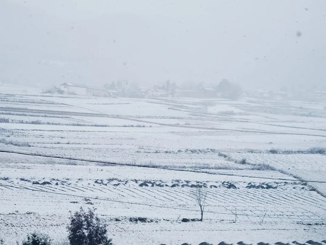云南多地迎来2025年第一场雪！