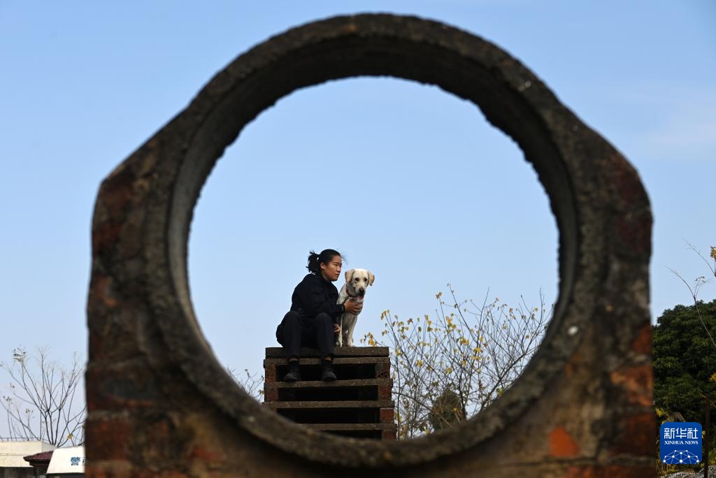 一名“90后”警犬训导员的警察节