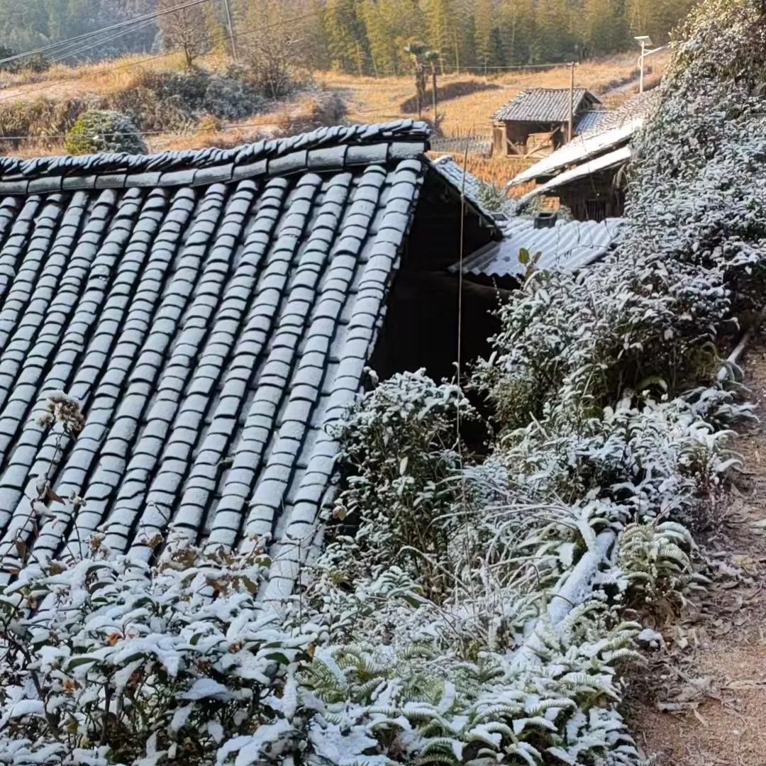 -10℃！福建多地开启“下雪模式”