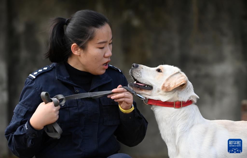 一名“90后”警犬训导员的警察节