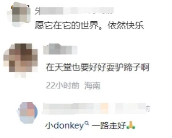 知名“配角”离世！网友：感谢给我们带来这么多欢乐...