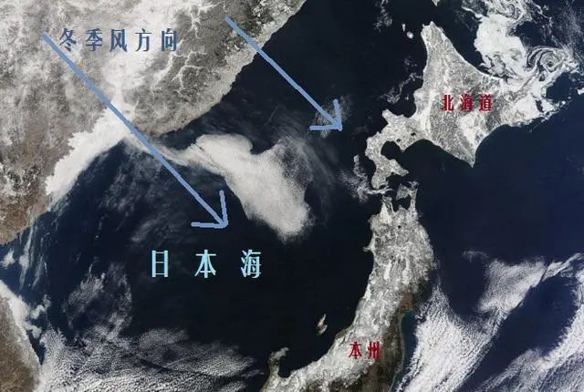 局地雪深4.13米！冷流雪效应致日本多地出现破纪录降雪