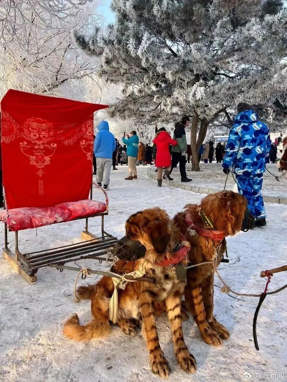 吉林大爷垫付3700元救助受伤游客反被拉黑，文旅局回应