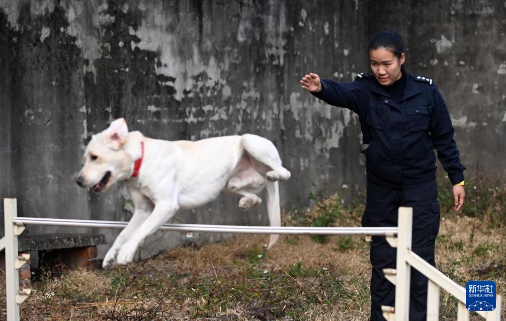 一名“90后”警犬训导员的警察节