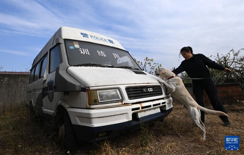 一名“90后”警犬训导员的警察节