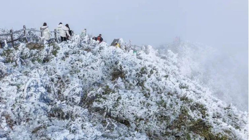 零下4℃，广东将出现冰冻！“阿冷”真的来了，广州最低气温出现在周末