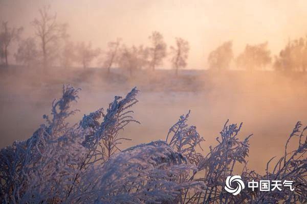 一眼心动！全国雾凇观赏地图出炉 赴一场现实版“冰雪奇缘”
