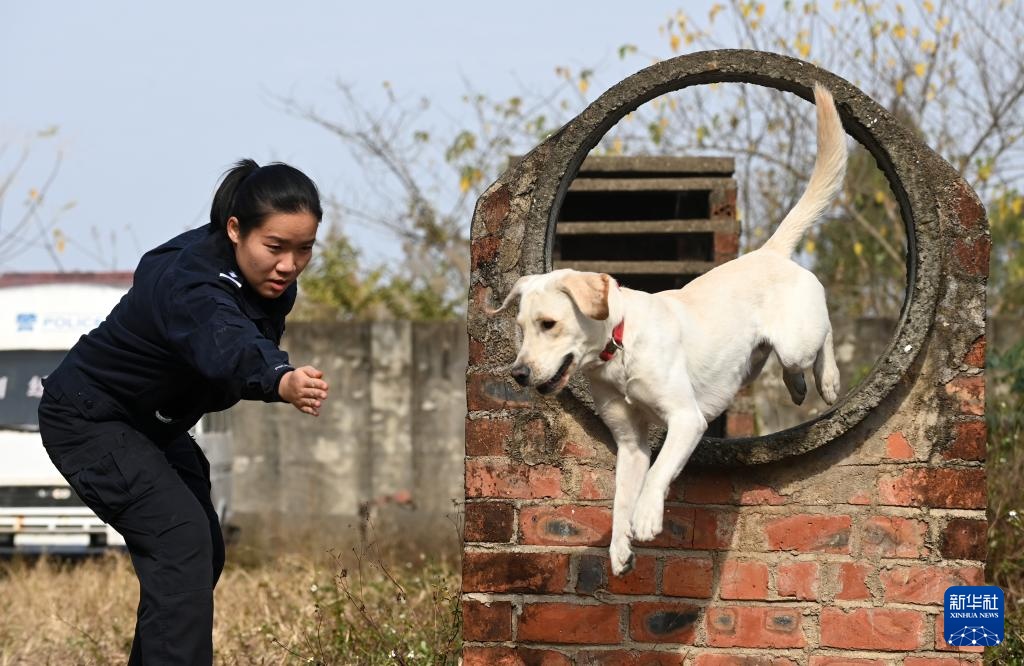 一名“90后”警犬训导员的警察节