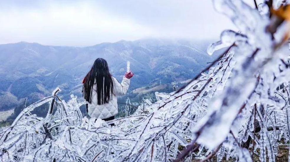 零下4℃，广东将出现冰冻！“阿冷”真的来了，广州最低气温出现在周末