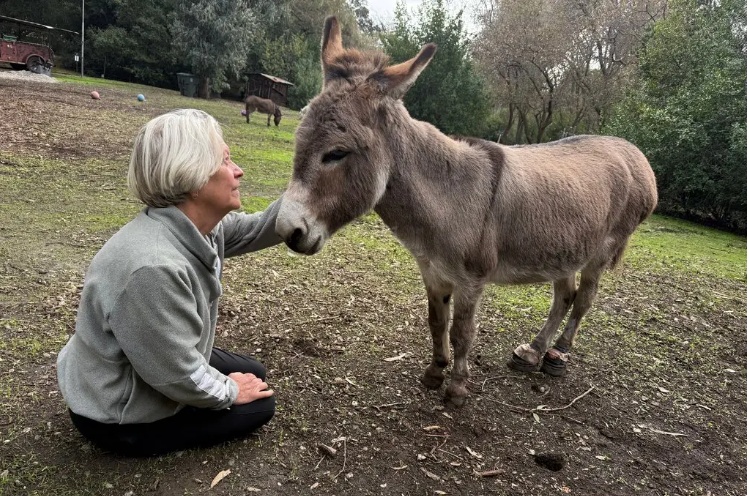 知名“配角”离世！网友：感谢给我们带来这么多欢乐...