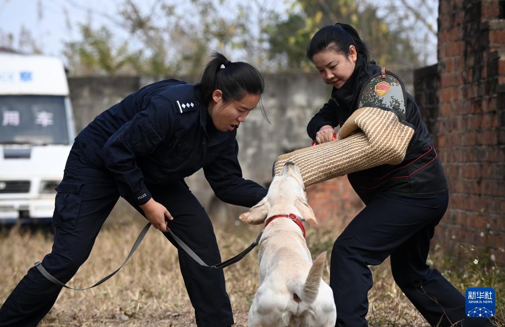 一名“90后”警犬训导员的警察节