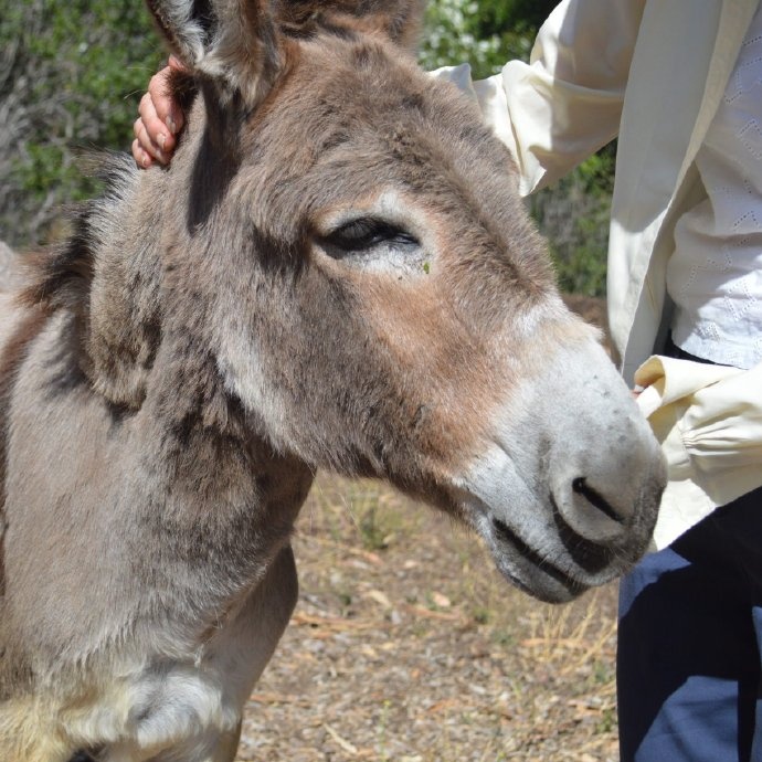 知名“配角”离世！网友：感谢给我们带来这么多欢乐...
