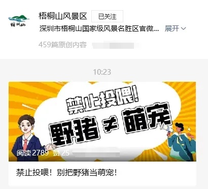 深圳梧桐山野猪一家7口在线讨食,景区:别靠近、别投喂! 深圳梧桐山野猪一家7口在线讨食,景区:别靠近、别投喂!