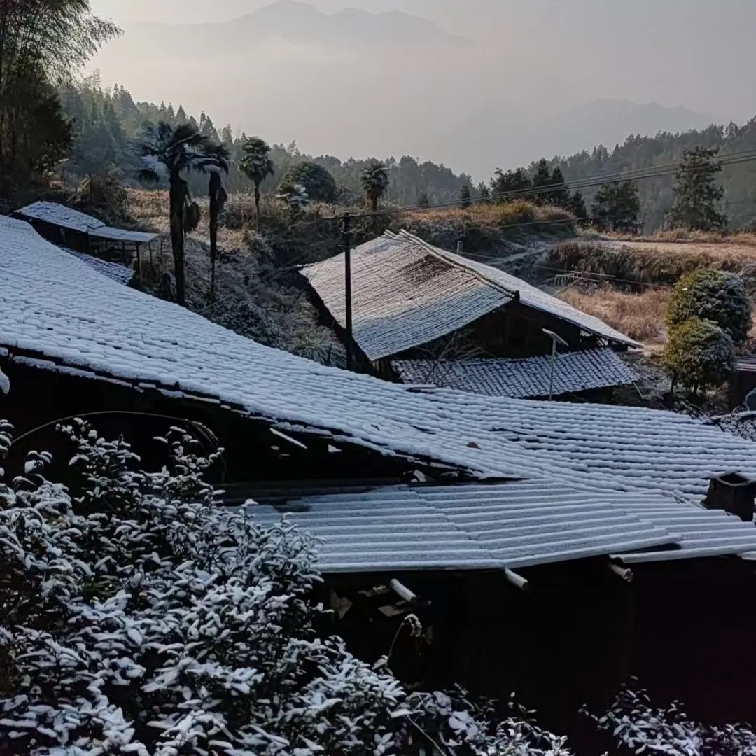 -10℃！福建多地开启“下雪模式”