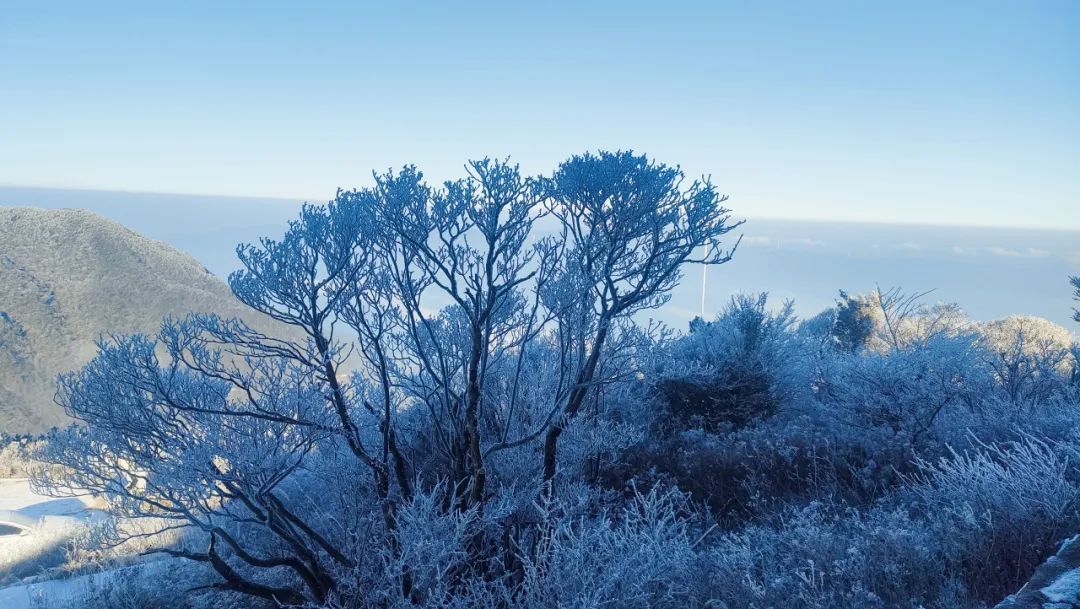 -10℃！福建多地开启“下雪模式”