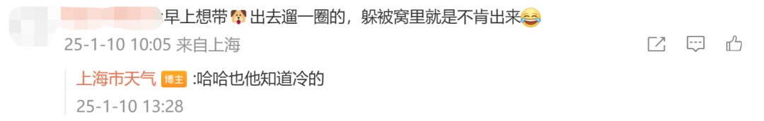 确认了：上海天气又要反转！全面跌破零度后，气温将要猛升...太刺激→